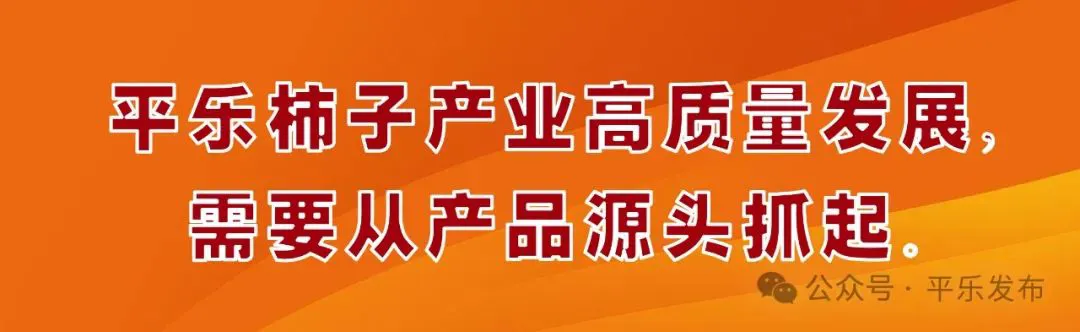 篮球训练方法50集视频讲解_0